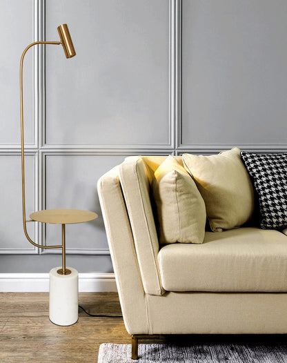 Arm Floor Lamp