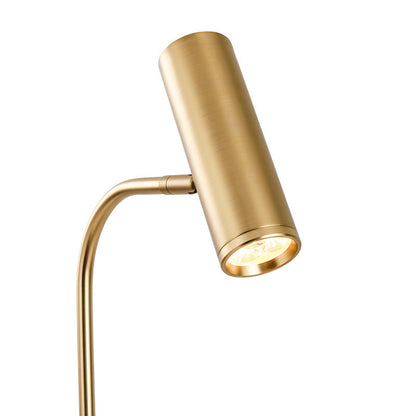 Arm Floor Lamp